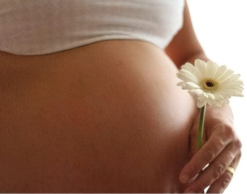 Зачаття і вагітність