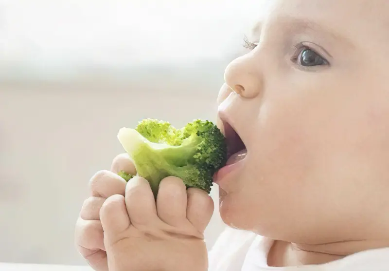 блюда гіпоалергенна дієта для дітей