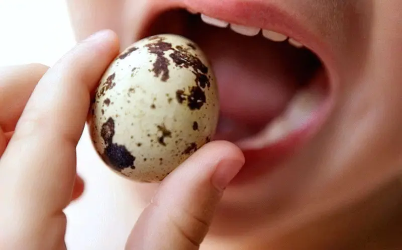 Діти обожнюють перепелині яйці