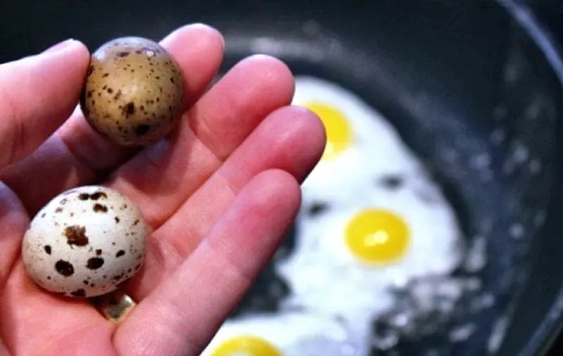 Ви з легкістю знайдете варіанти приготування перепелиних яєць