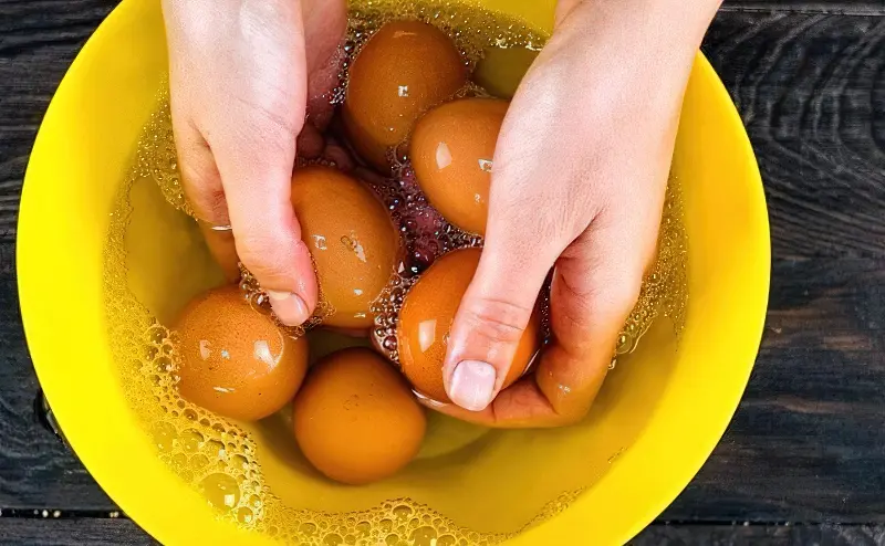Мити яйця потрібно в теплій воді